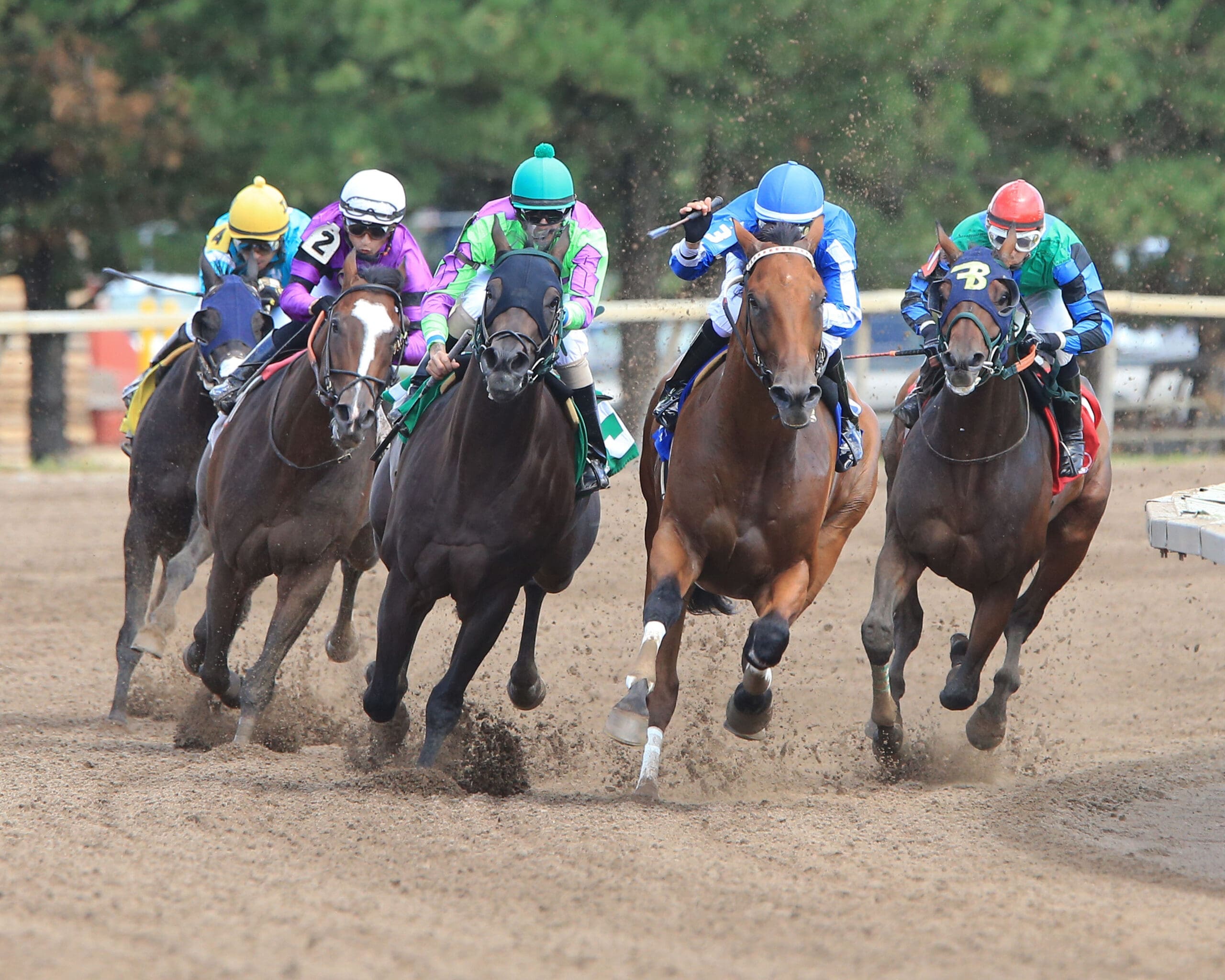 Horse Racing at Canterbury Park