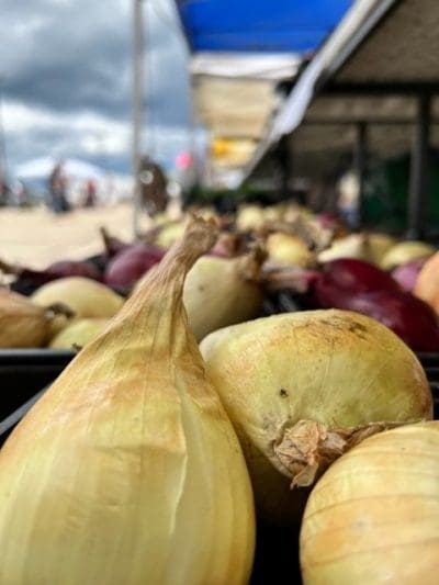 Vegetables at Farmers Market
