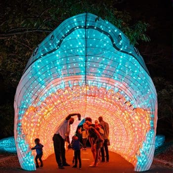 Wanderlight at the Minnesota Zoo